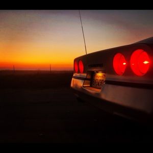 Meet your Posher, Hector